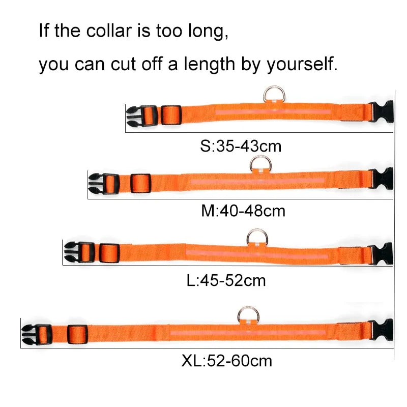 LED Glowing Night Safety Collar