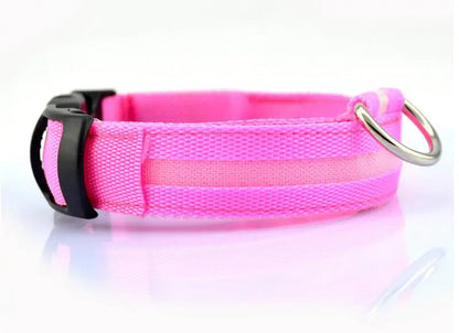 LED Glowing Night Safety Collar